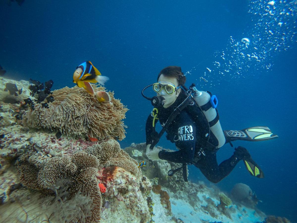 Pemba Paradise Makangale Eksteriør billede